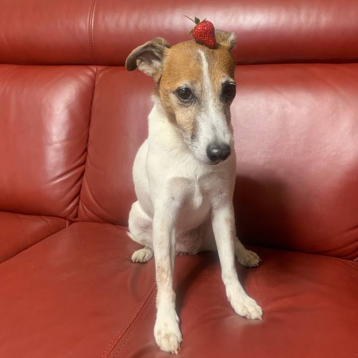 Db6e914e a0c1 411b 8eec f5016270c175 1558792836885