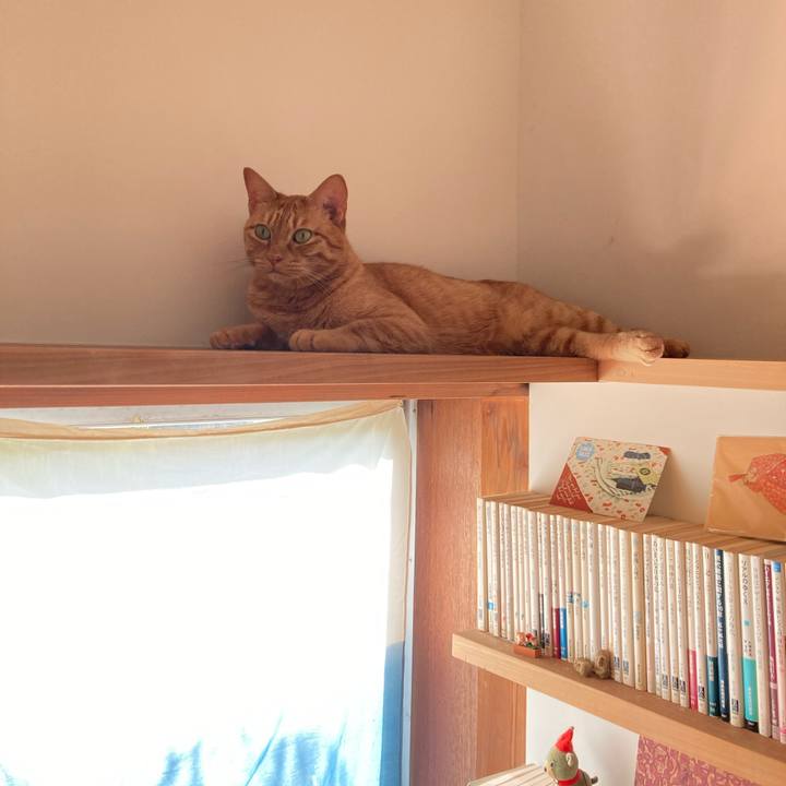 Db6ea031 4eb4 4742 bbaa 477b0a4edb43 1659231879624