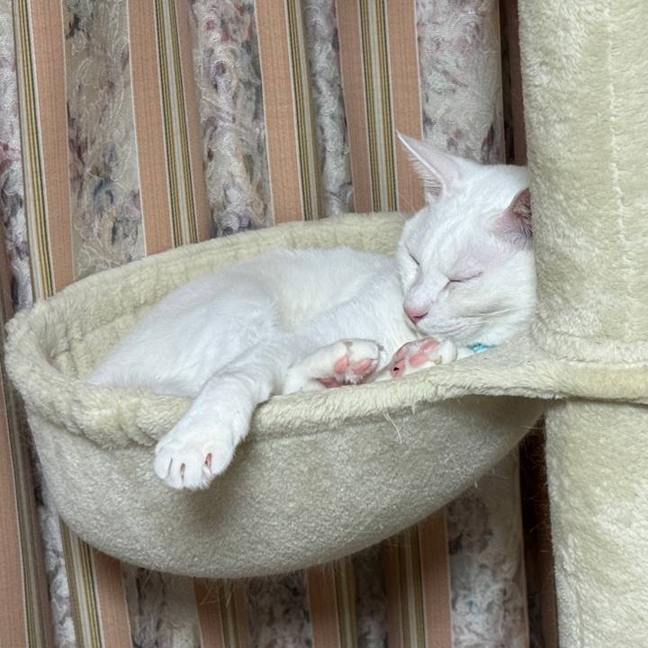 Db6ec2f7 4429 49be aead 87f6a8b818e6 1762522947406