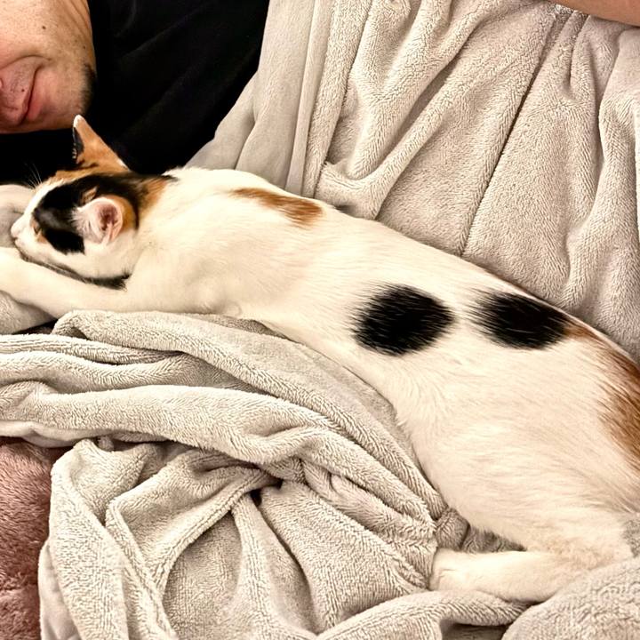 Db6ed152 af99 45f6 9b90 520271012566 1762595529139