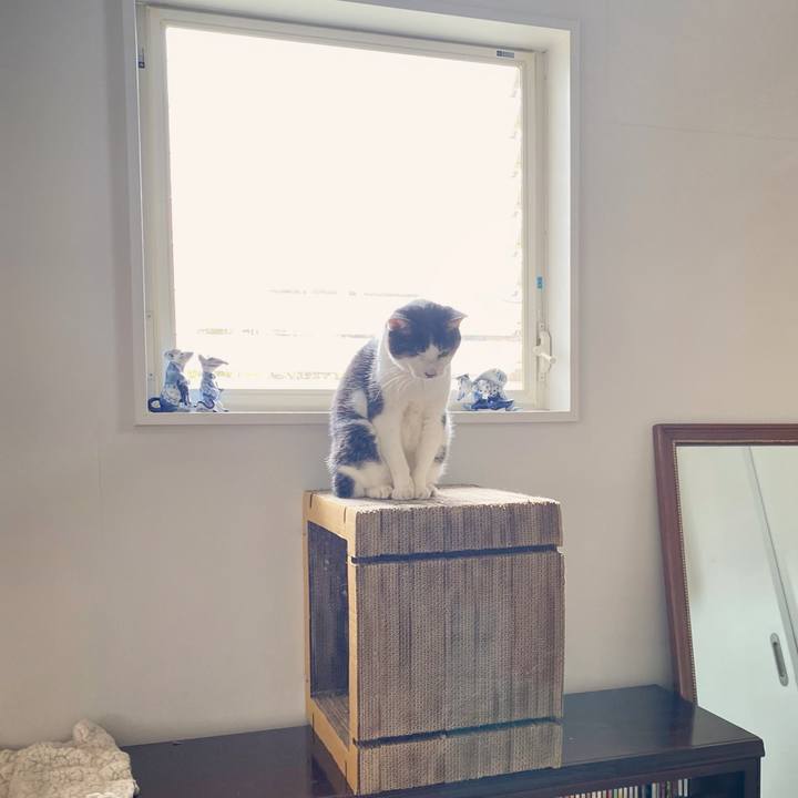 Db6ed61c b1d4 468b b3bc 79015906cc7c 1604378200710