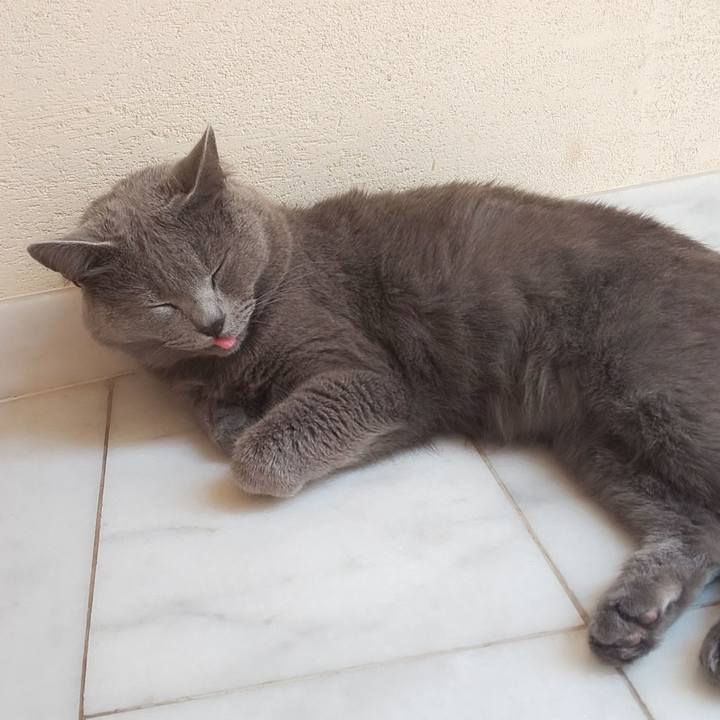 Db6ee6b2 bbd8 4f0b 931f b31f4f963b6c 1564714949600