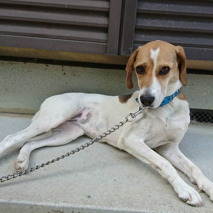 Db6f1eba c681 483e b7eb f18451afbe2e 1563425253945