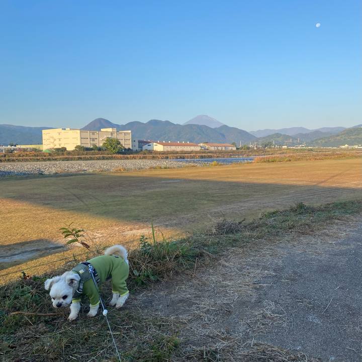 Db6f3b17 195b 4c66 ac92 170a82baf1e2 1668138000877