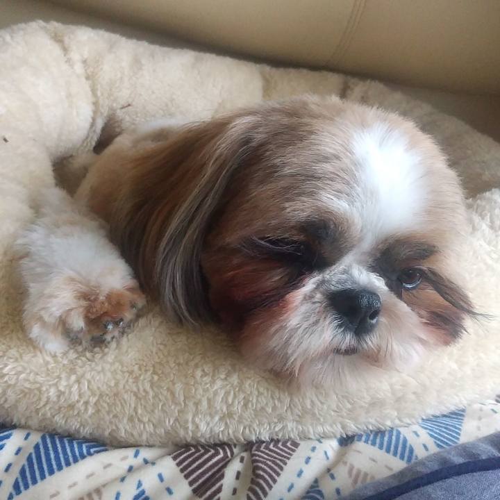 Db6f5269 5e0b 4b15 889b 93a41d382007 1588058166884