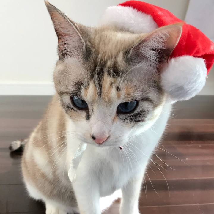 Db6f6885 5b8f 4fb9 946a 1162a32e3987 1514093540680