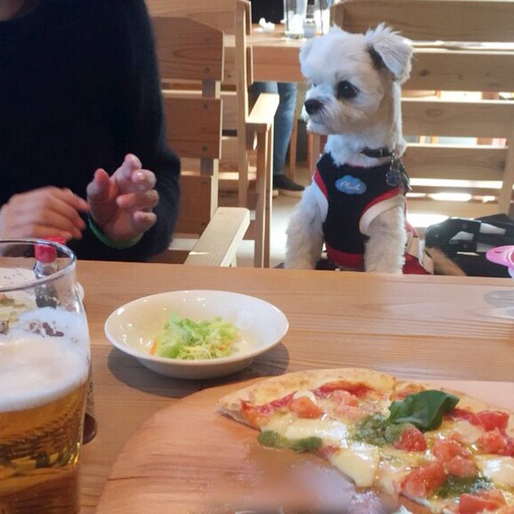 Db6f78cd 8016 49d2 bc75 f33bf066e421 1511176450785