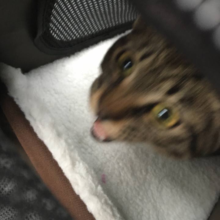 Db6f7aed 3107 44a2 85d9 3dafb475fb2e 1540600889787