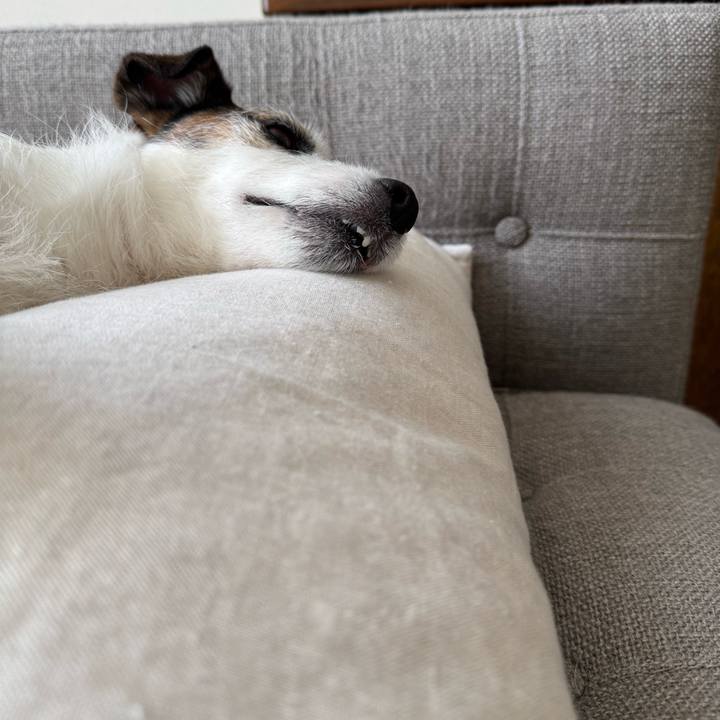 Db6f853d 8fd3 40e3 a97d f6f8a2a3a513 1767413021469