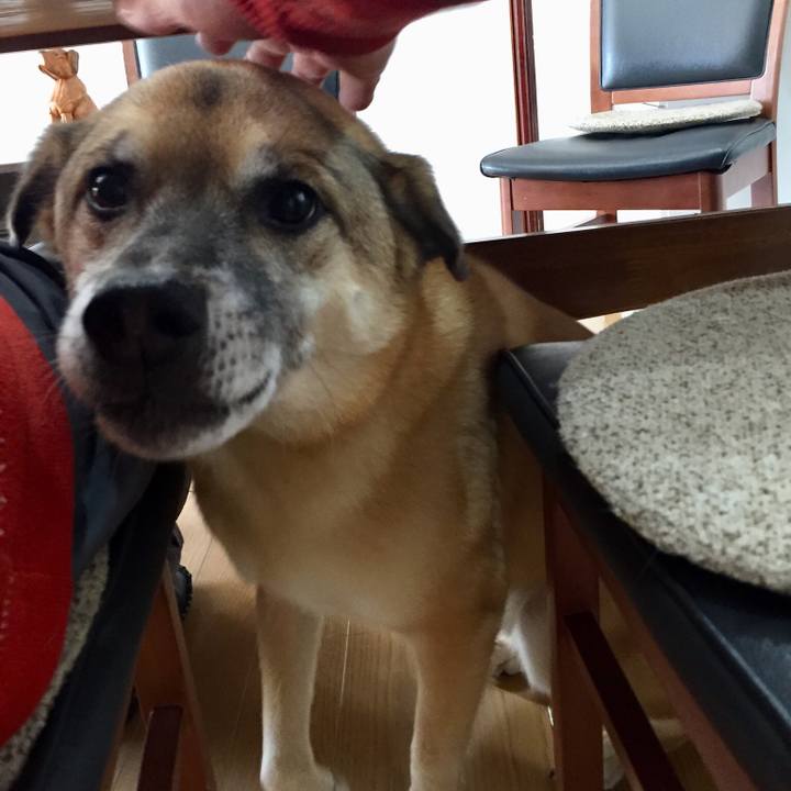 Db6fafb1 e226 46e6 aa8d 14b7f976c2dc 1515747664159