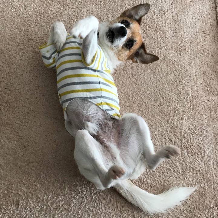 Db6ff3a1 0aed 484b 9ea7 5a81f9f71958 1552212052636