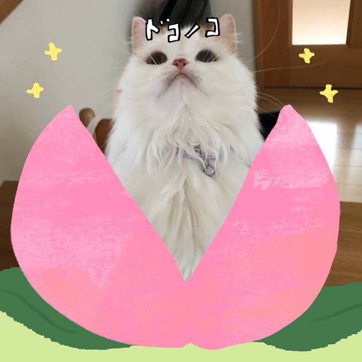 Db6ff749 9852 4f74 8d4f 507b2f5186b1 1771823306679