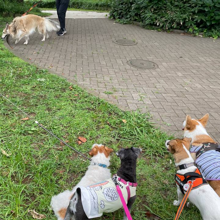 Db702b0b af1e 44c6 bbd8 2af211e6f80f 1688802409759