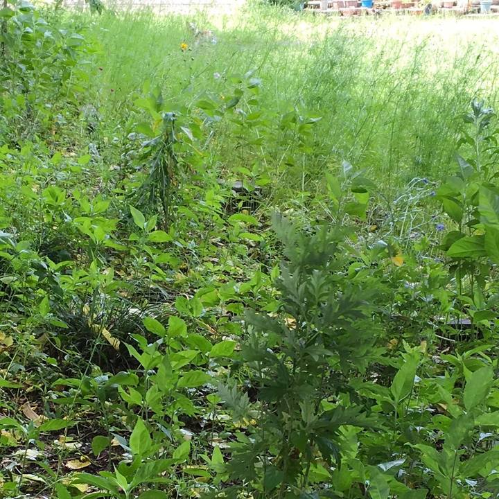 Db7082c6 26c8 4b65 926a aa824110e47a 1654479079462