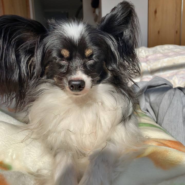 Db708471 4dec 485f 83d9 802170f85520 1541389470547