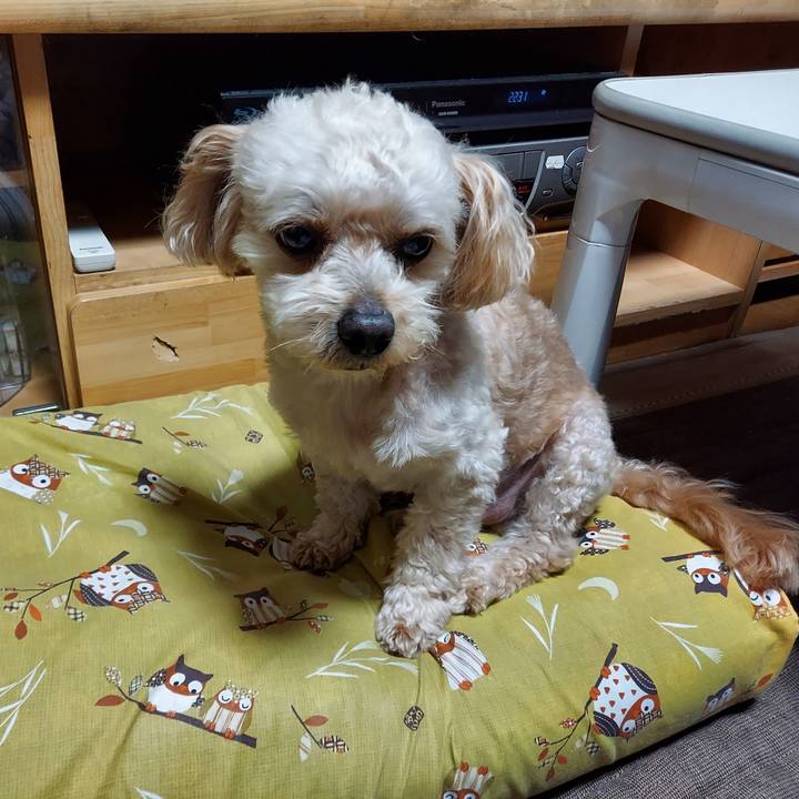 Db70a83b cd4e 4163 9fba 5a8d1fa0578a 1625754594711