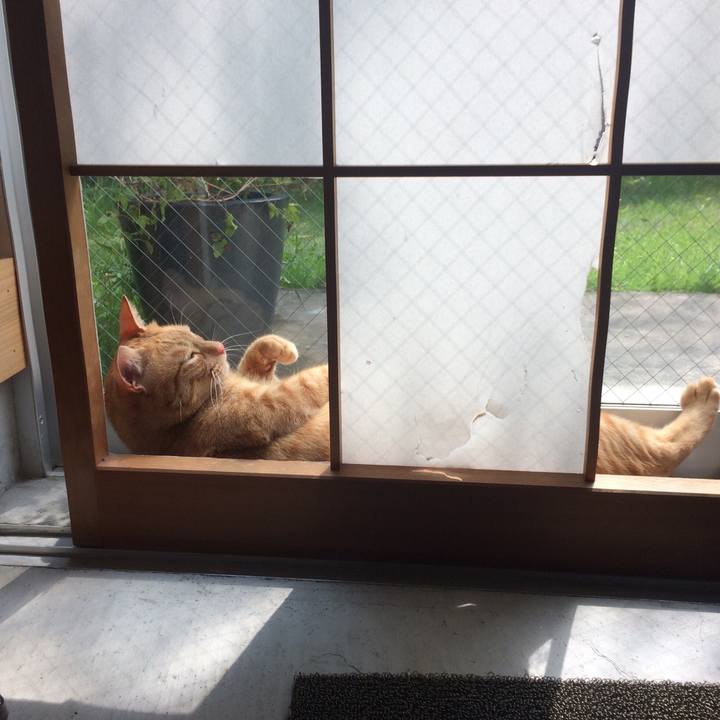 Db70d4c3 b5d9 4c3d a896 8f5a1a01fe9f 1535151577567