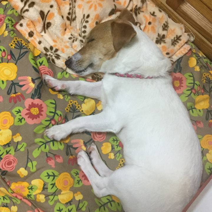 Db714008 84a5 4188 b60c 612b677965f0 1528625427273