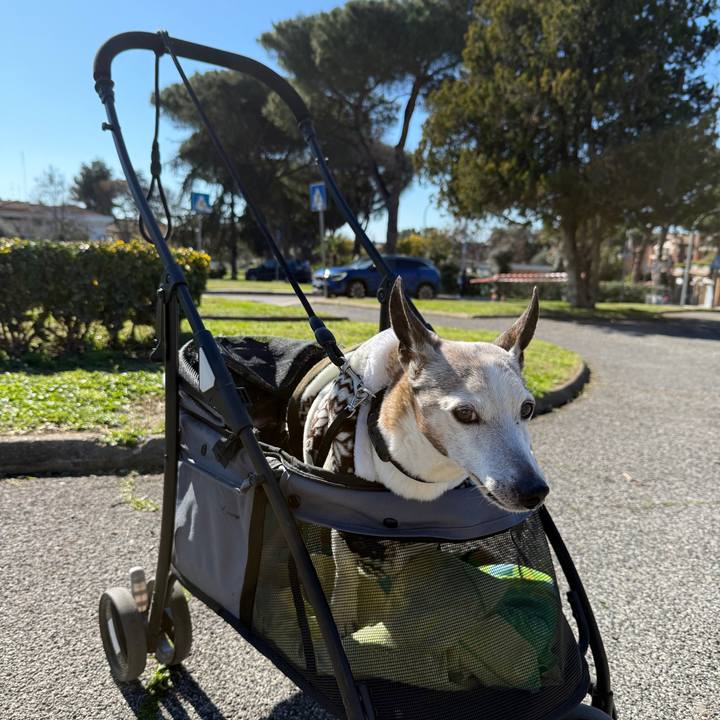 Db71619b a4de 48d0 94b3 c230f2f3045c 1771682577049