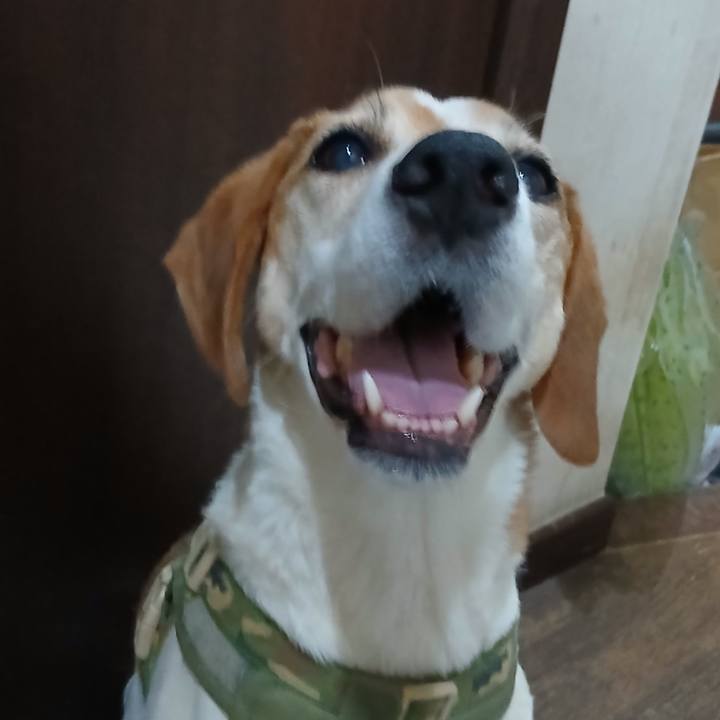 Db7187c3 6018 42f2 bad2 fb9757099e8e 1751427902344