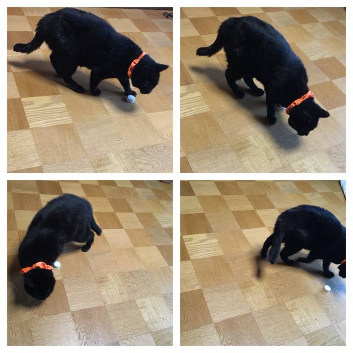 Db71a0c9 47c4 4ac7 933a db6ebba9b88f 1539379596646