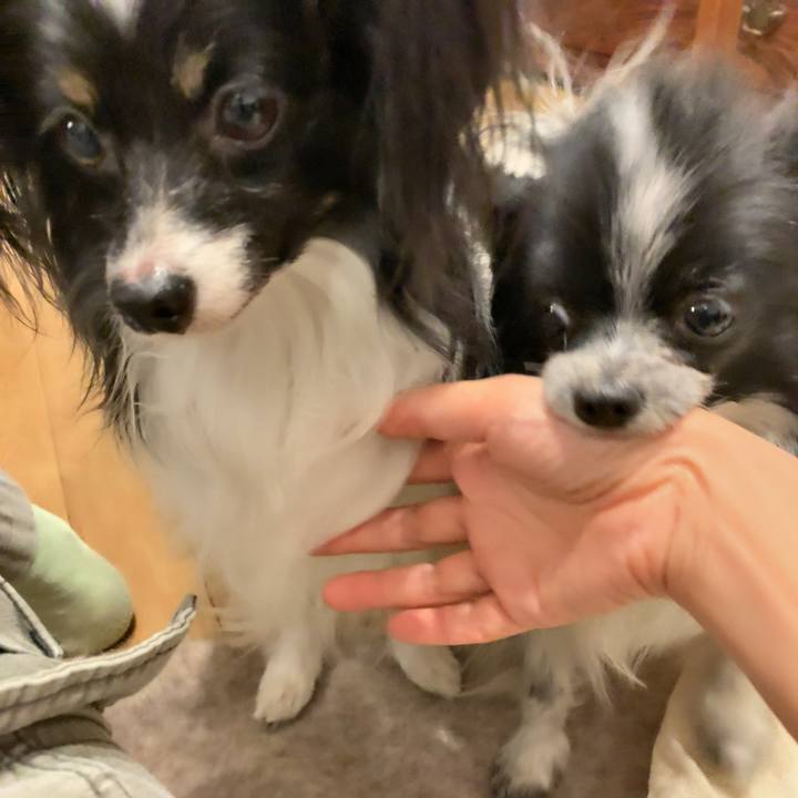 Db71b46b e958 40bf ace8 e542f2292472 1546602374495