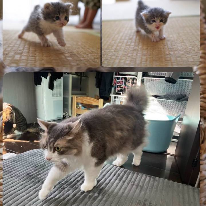 Db71ca42 f48d 47ed a11e c45a343f89ad 1764073672821