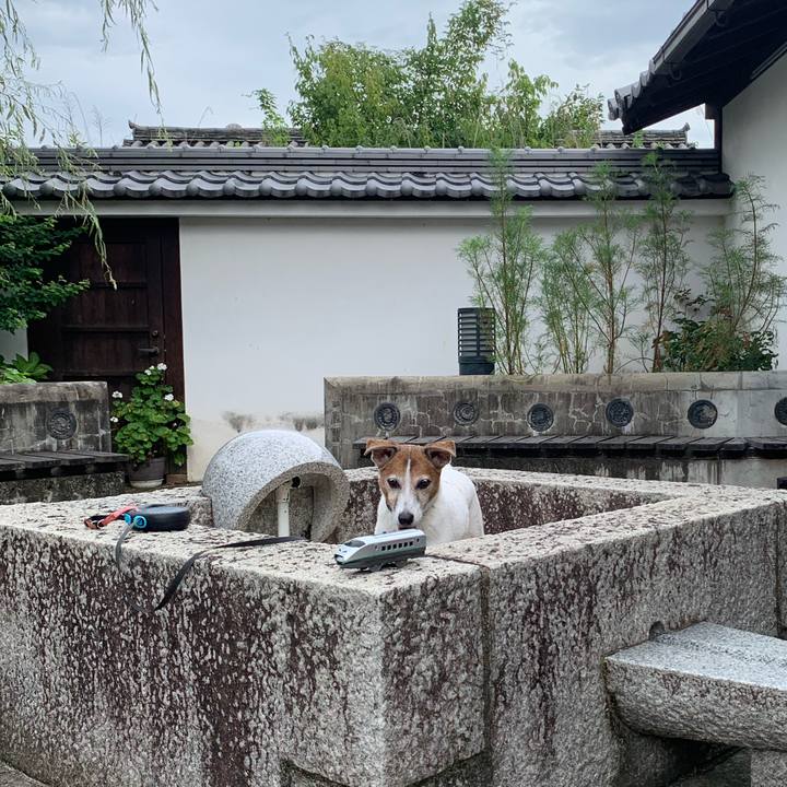 Db721021 56fa 4bad 9b4f 0299fd2c26fd 1595548817503