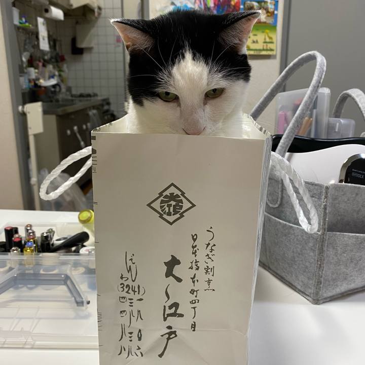 Db721a45 bf1c 4c4a 9e19 b1340b53ec04 1659707840390