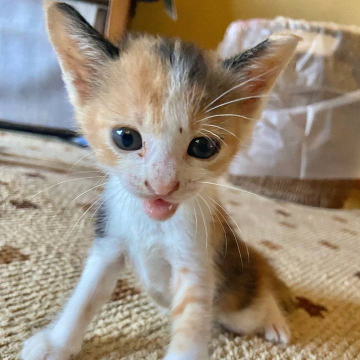 Db7221eb 6283 48d4 a7cd 45ff0d54e690 1627623711066