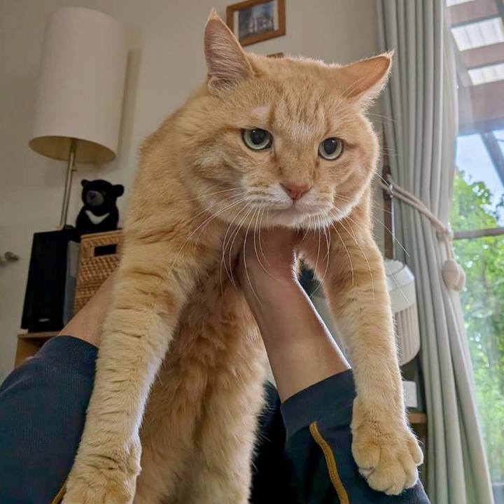 Db723e3d b501 4ca4 b1ae 5ef56488cbc2 1760870303095