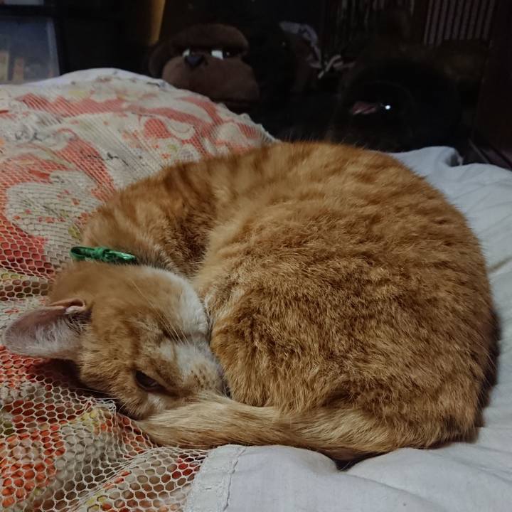 Db724542 c85f 46b4 828f 155d43722e38 1585571038269