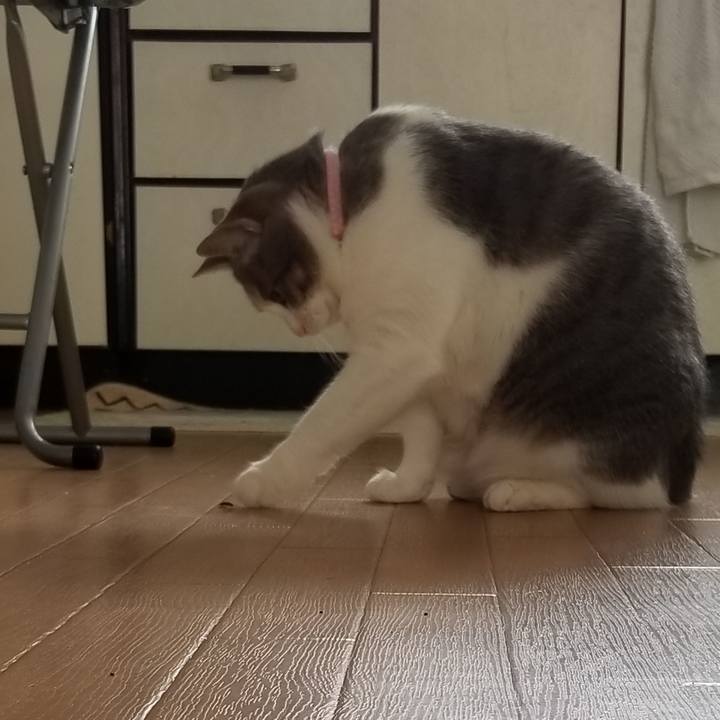 Db725084 c963 4d2b a843 17773e256fb6 1587042940359