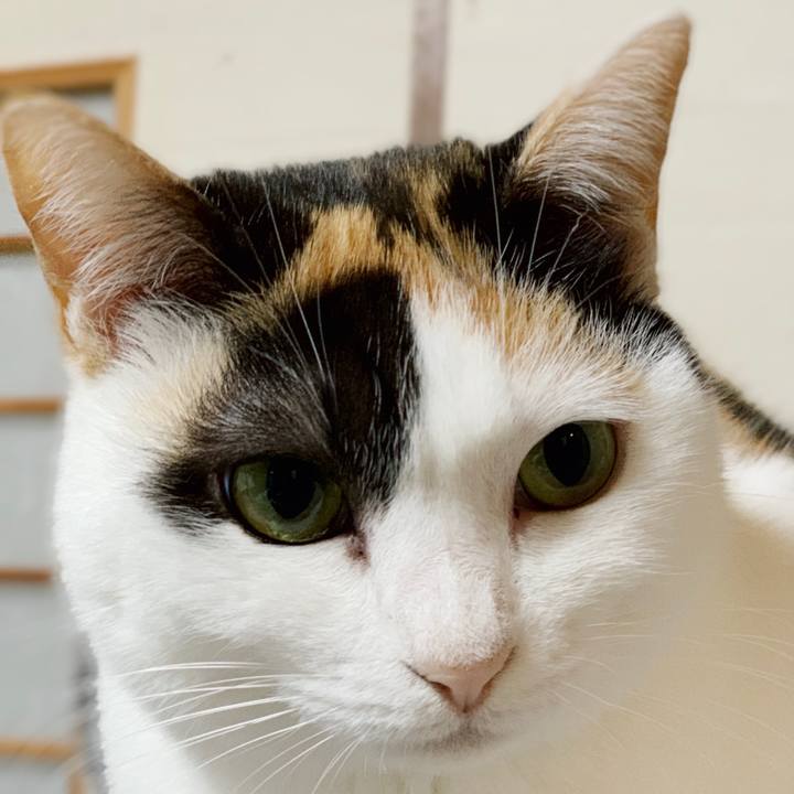 Db7269f1 cc97 4278 a650 6ef64ee6d018 1553306306546