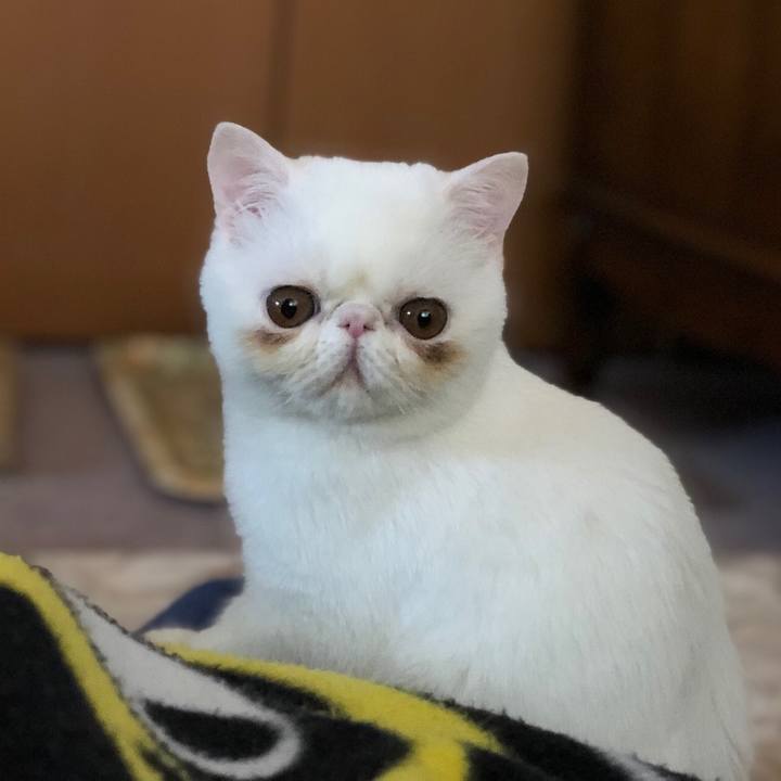 Db726ca8 fb1b 49e8 aa9d 29db6d1e2955 1550990959794