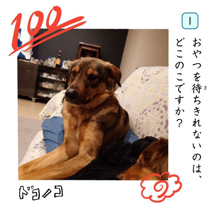 Db726fe7 faf1 46ef 9f20 4c324606ae24 1744288169793