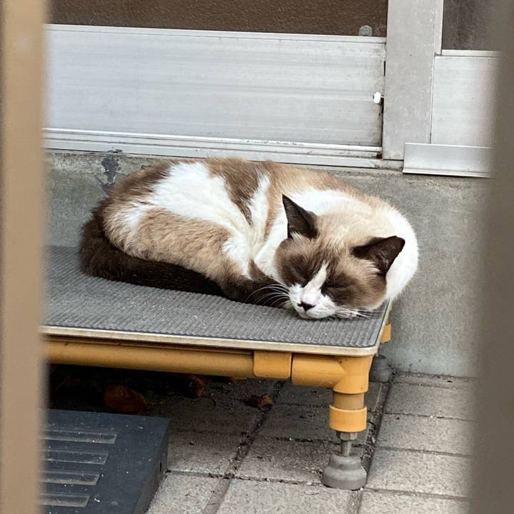 Db727f0b 7d06 453a a8cb 43c24a1f7098 1666505473551