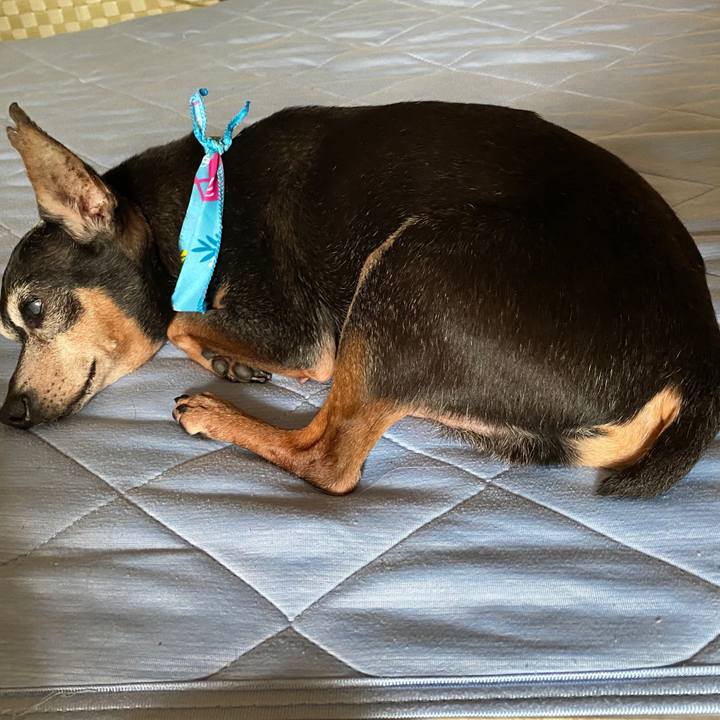 Db729172 a78e 4d92 bc34 21138a8cd232 1595673643763