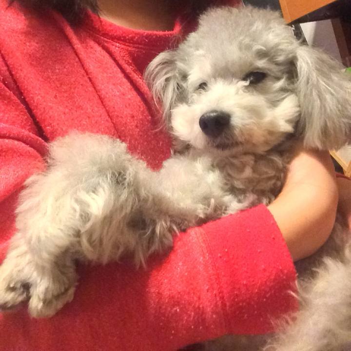 Db72a2b5 5048 45a0 a8a8 57f62a2843df 1761612146226