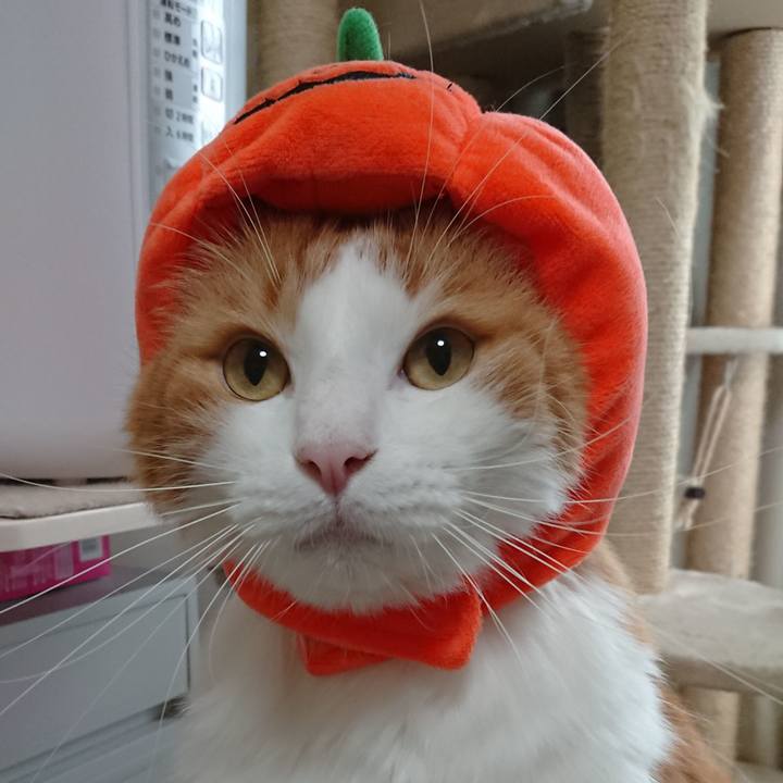 Db72d9fe 0600 42ec 8b4b 430ab7dce633 1570332242787