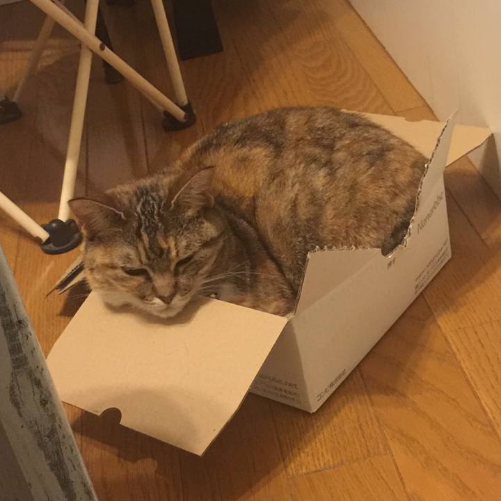 Db7300fe 062b 4a80 bc82 b2620481d8de 1560183339860