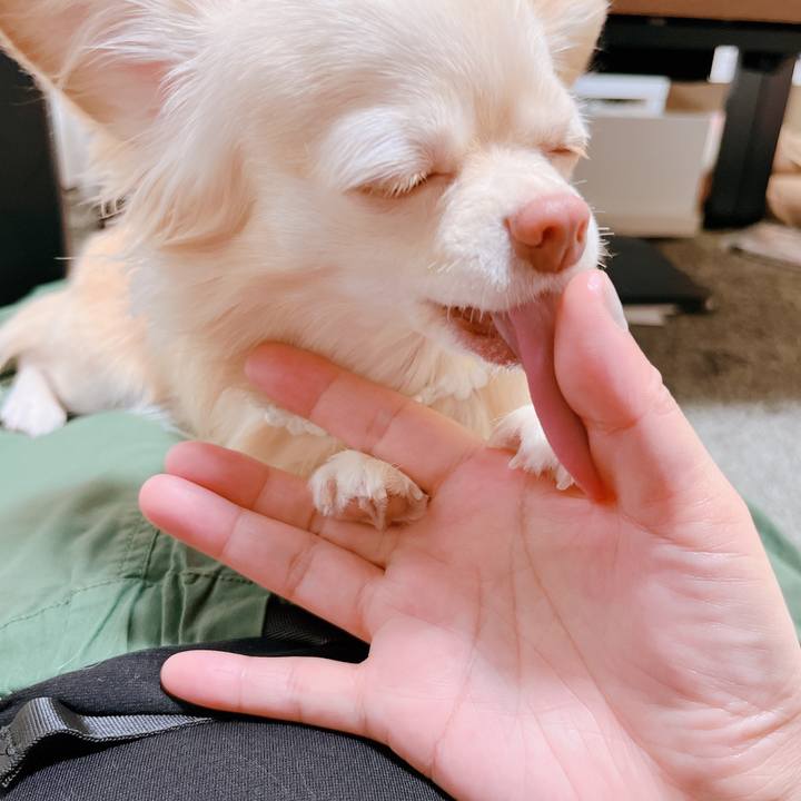 Db732f8e 84fa 4dbe b198 71f6c20893f0 1660129666915