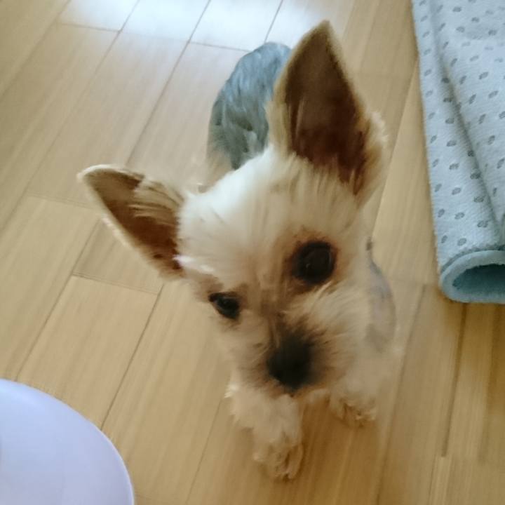 Db73492a 381f 4f09 a6ff 922bea0c910e 1546225715845