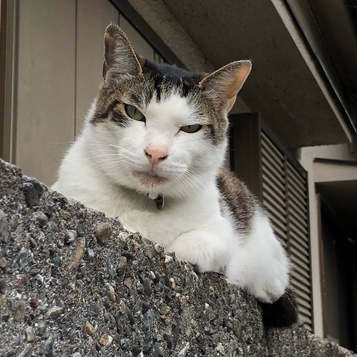 Db73625c e3b7 4256 b188 9ddf9acb0f97 1555081871391