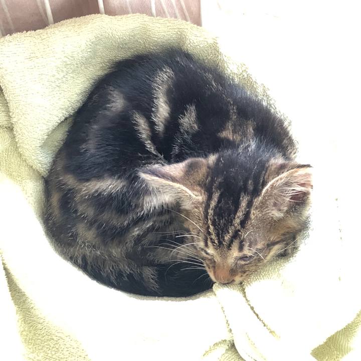 Db73dd63 2b01 4b0d 89e6 4be1452c226b 1723933170399