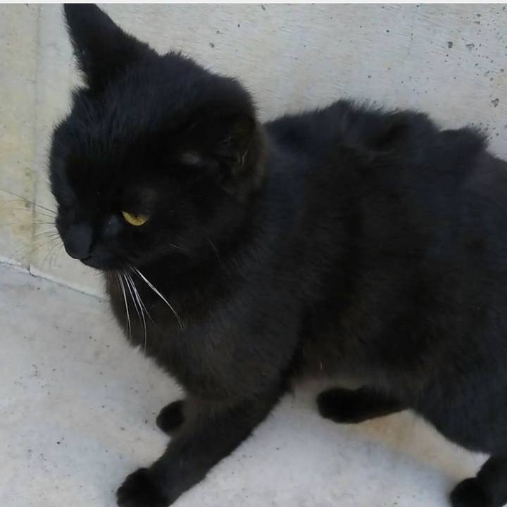 Db73f83d 6fec 4438 ba58 7388c7df6c7f 1556258850210