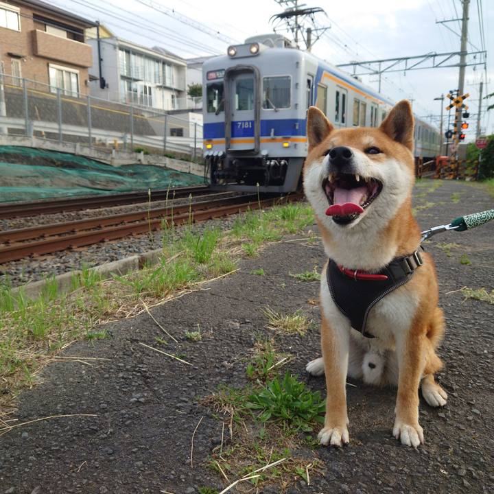 Db743c3a 2d4c 40d2 98bd b2197d266778 1749378023197