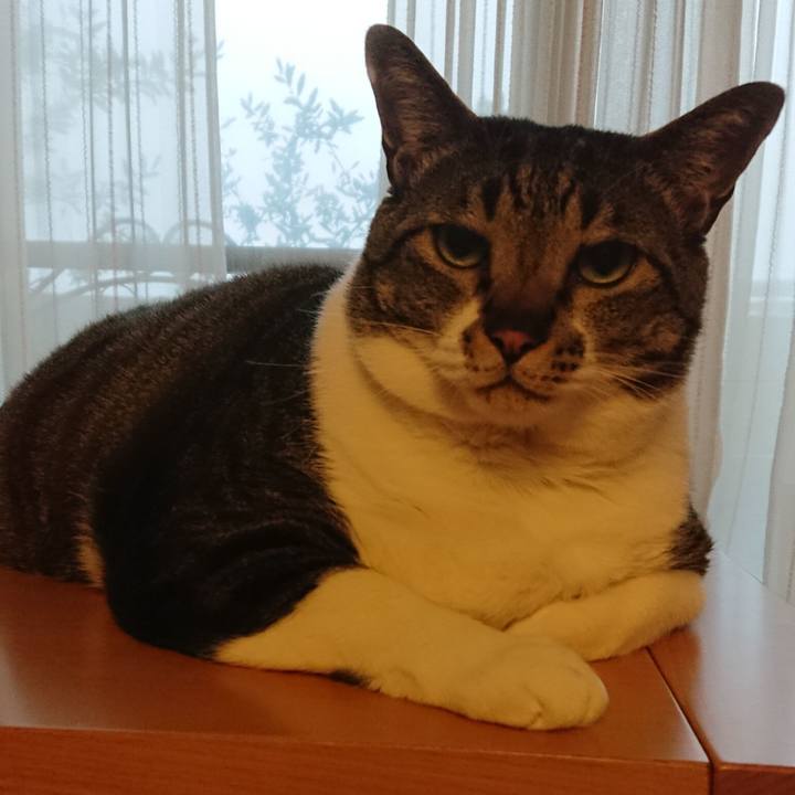 Db74711b 5262 400c 8ee7 47092d6f49f0 1525573571320