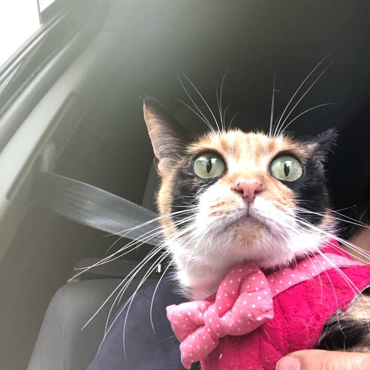 Db747ed4 b335 4ff0 9ec8 9a75ca41db79 1594713925467