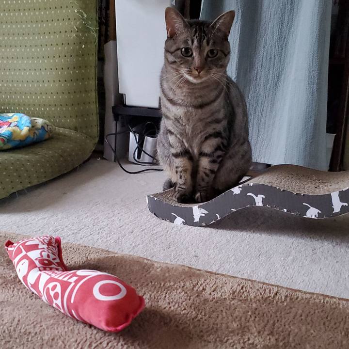 Db74878c 2f18 46ab 82b4 e63a0a8e37c3 1720545209884